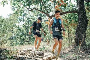 BIB: 
                            <button type="button" onclick="openModal(26096280)" class="btn btn-primary btn-sm float-right btn-popup" data-toggle="modal" data-target=".modal-high-quality">
                        <i class="fas fa-shopping-cart"></i> Add to Cart
                    </button>
                                            <button type="button" onclick="isThisMe(26096280, true)" class="btn btn-success btn-sm float-right btn-popup btn-isme hidden" data-toggle="tooltip" data-placement="bottom" title="นี่คือรูปของคุณใช่ไหม คลิกที่นี่เพื่อเอาเข้าอัลบั้ม">
                        <i class="fas fa-plus"></i> Add to album
                    </button>
                    <button type="button" onclick="isThisMe(26096280, false)" class="btn btn-warning btn-sm float-right btn-popup btn-isnotme hidden">
                        <i class="fas fa-ban"></i> Remove from album
                    </button>